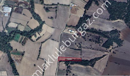 Lüleburgaz Celaliye Köyünde Resmi Yol Var Satılık Parsel