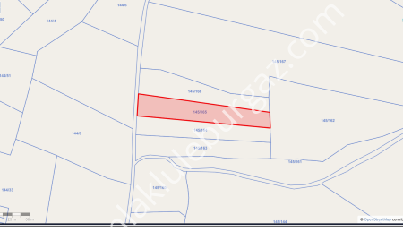 Celaliye Köyünde Resmi Yolu Olan Satılık Müstakil Parsel