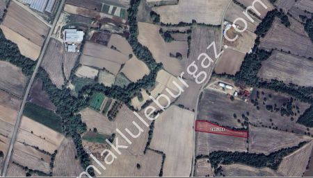 Lüleburgaz Celaliye Köyü Müstakil Satılık Parsel