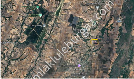 Lüleburgaz Celaliye Köyü Müstakil Satılık Parsel