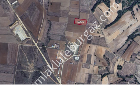 Lüleburgaz Celaliye Köyü Satılık Müstakil Parsel