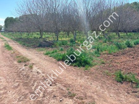 Lüleburgaz Eski Taşlı Köyü İmara Yakın Yol Var Satılık Parsel