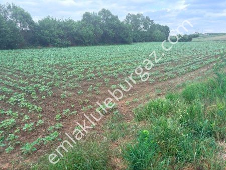 Lüleburgaz Hamzabey Köyü Satılık Müstakil Parsel Resmi Yol Var